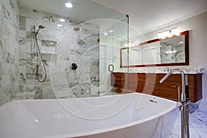 Sleek bathroom with freestanding bathtub and walk in shower