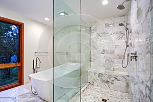 Sleek bathroom with freestanding bathtub and walk in shower