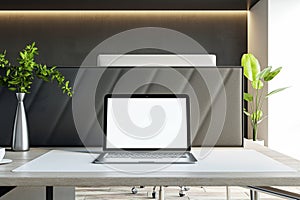 Sleek laptop setup with plant decor on office desk, productive ambiance. 3D Rendering