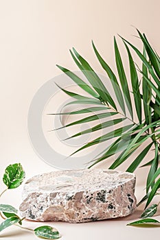 Elegant Marble Pedestal With Vining Plant Casting Shadows on a Neutral Background photo