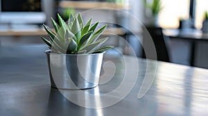 A sleek metal desk with clean lines and minimal clutter adorned with a single potted succulent plant. .