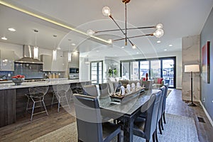 Sleek modern kitchen design with a long center island.