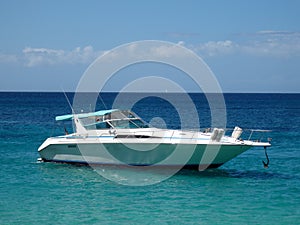 A sleek pleasure craft at lower bay.