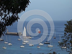 A sleek schooner in admiralty bay