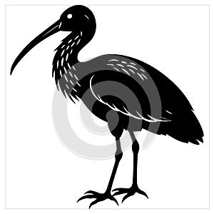 A sleek silhouette depicts an ibis bird, its graceful form captured in bold black and white lines.