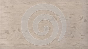 sleek silver birch texture. ai generate