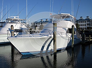 Sleek Sport Fishing Boat in Ocean City Maryland