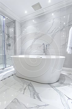 Sleek standalone bathtub enhances the tranquility of a contemporary bathroom setting photo