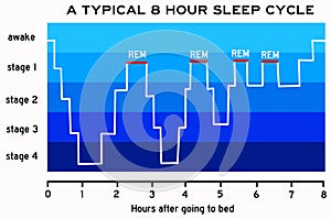 Sleep cycle