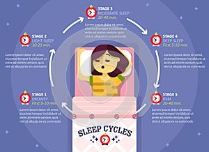 Sleep cycle infographics, vector education diagram, poster