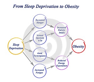 From Sleep Deprivation to Obesity