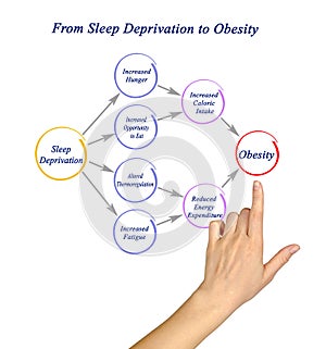 From Sleep Deprivation to Obesity