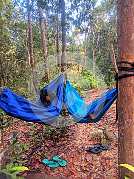 Sleep a hammock at tree forest mountain jantan
