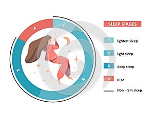 Sleep stages illustration. The figure shows a pie chart of stages of sleep and a sleeping young woman on a white background.