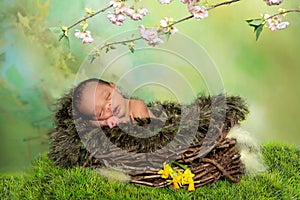 Sleeping african spring baby