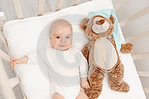 Sleeping baby and his toy in white crib. Nursery interior and bedding for kids. Cute little boy napping in bassinet. Kid taking a