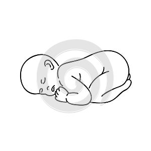 Sleeping baby outline hand drawing isolated on white background