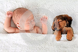 Neonato, bambino e un cucciolo di bassotto a pelo insieme.