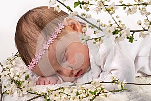 Sleeping baby at spring blossom plum flowers