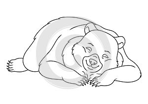 Sleeping bear coloring page cartoon vector illustration