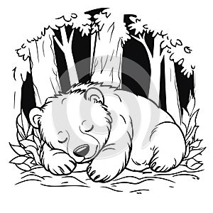 Sleeping bear cub amidst forest foliage