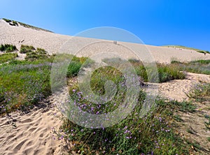 Sleeping Bear Dunes National Lakeshore