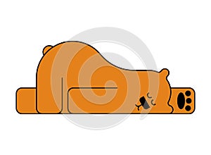 Sleeping bear isolated. Beast is sleeping. vector illustration