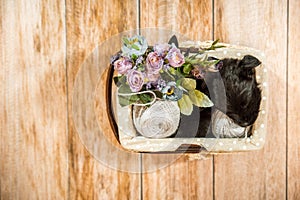 Sleeping black puppy in a basket with flowers  top view