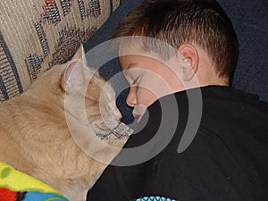 Dormire ragazzo un gatto 