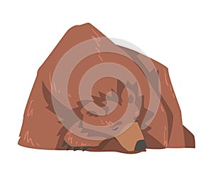 Sleeping Brown Bear Lying on the Ground, Large Wild Predator Mammal Animal Cartoon Vector Illustration