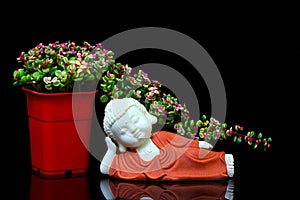 Sleeping buddha figurine decorated with elephant bush flower plant in pot