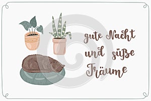 Sleeping cat on a pillow close to house plants. German hand lettering.