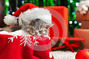 Sleeping Christmas Cat. Beautiful little tabby sleeping kitten, kitty, cat in red Santa Claus hat near Christmas gift boxes and