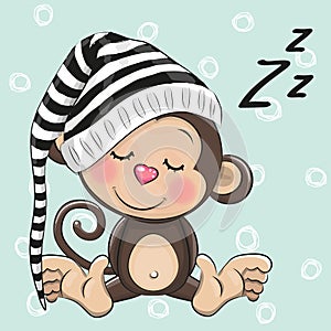 Sleeping cute Monkey in a hood