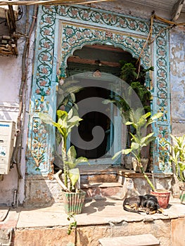 A sleeping dog and an ancient door in chandni chowk