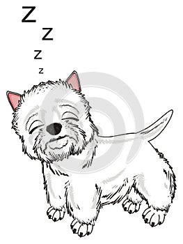 Sleeping dog and letters z