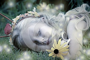 Sleeping Fairy's Nightlights