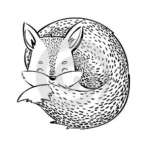 The sleeping fox. Cartoon fox on white background. Stylized forest animal. Illustration for children. Vector drawing for