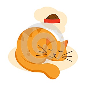 Sleeping ginger cat which dreaming about plate with food. Cute baby cat on white background. photo
