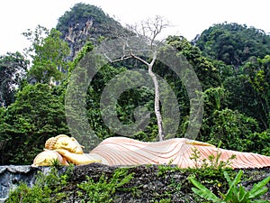 Sleeping golden buddha lying in the jungle