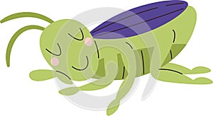 Sleeping Grasshopper Insect