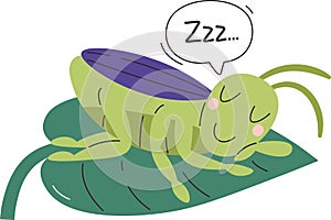 Sleeping Grasshopper Insect