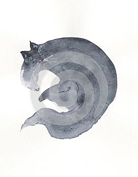 Sleeping grey cat painting in watercolor