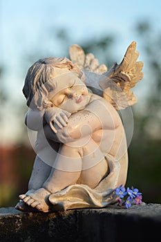 Sleeping guardian angel and flowers