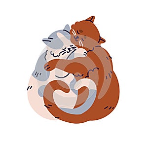 Sleeping hugging cats valentines. Funny happy kitties couple in love. Adorable kawaii sweet romantic feline animals