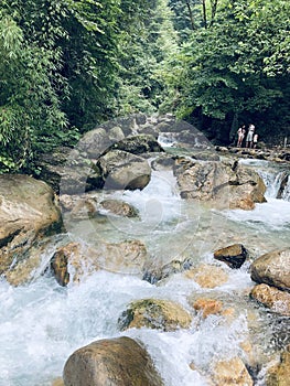 Sleeping kitten, cute kitten Streams and stones and forests