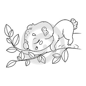 Cute koala sleeping on eucalyptus branch coloring page