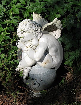 Sleeping little angel