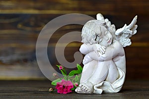 Sleeping angel and single rose on wooden background