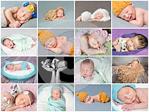 Sleeping newborn babies collage